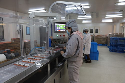 河北定興 科技特派團為企業(yè)發(fā)展添動能，加速技術(shù)推廣